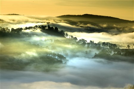 Mountain Fog