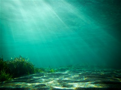 Sea Underwater Sunbeam