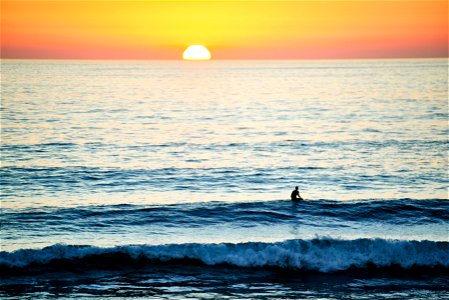 Sea Sunset Surfer photo