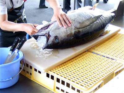 Tuna Filleting Display