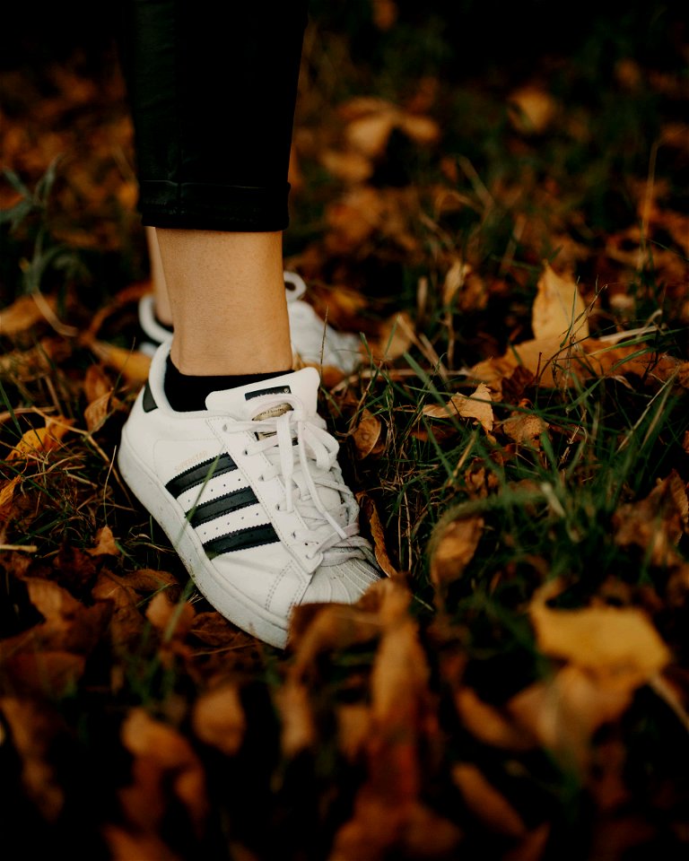 Sneakers Fallen Leaves