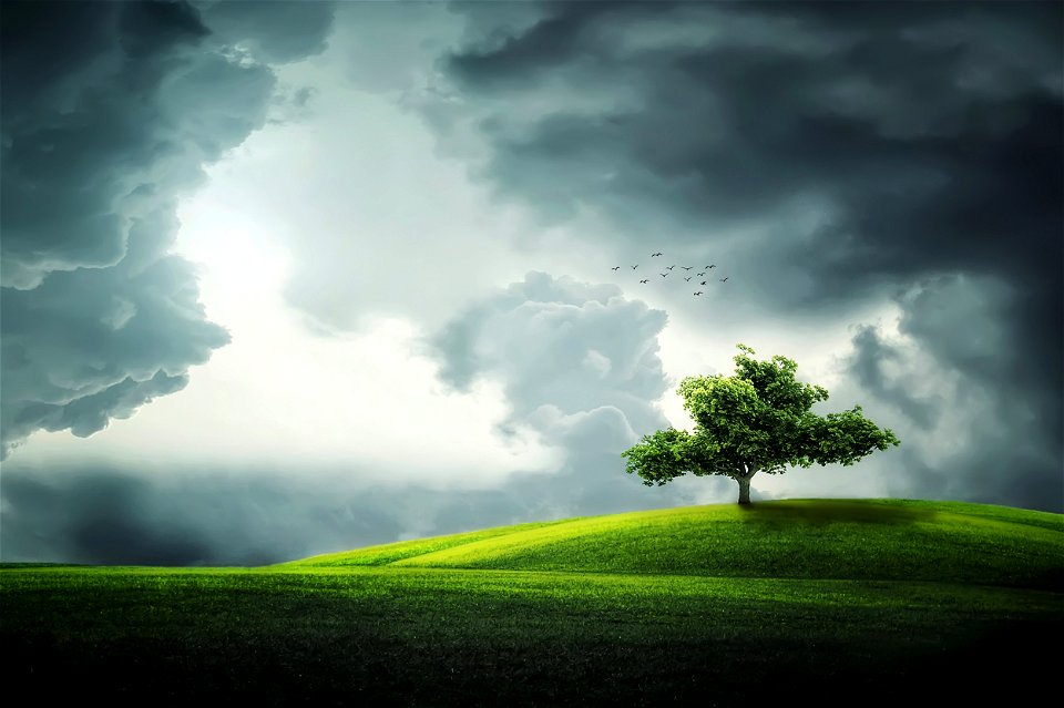 Hill Tree Dark Clouds