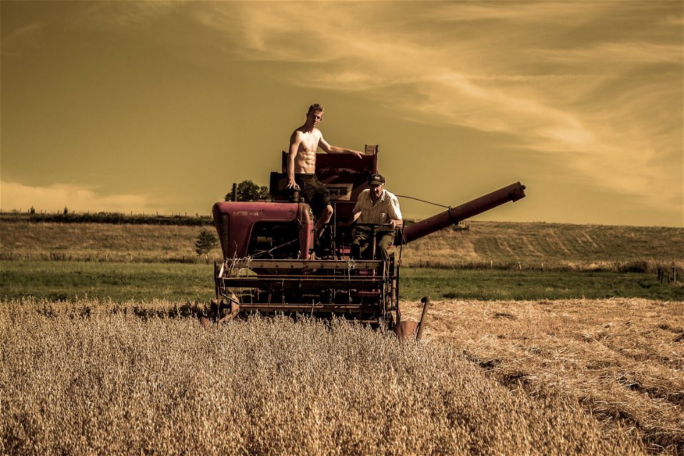 Harvester Field Farmer