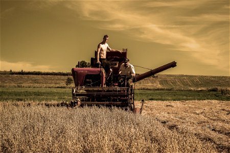 Harvester Field Farmer