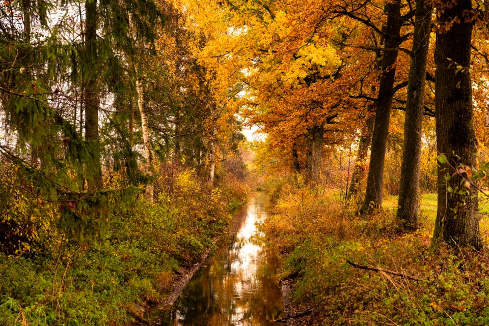 Nature landscape water