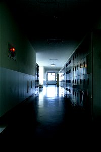 School Corridor Locker photo
