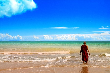 Beach Sea Monk