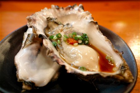Oyster Food photo