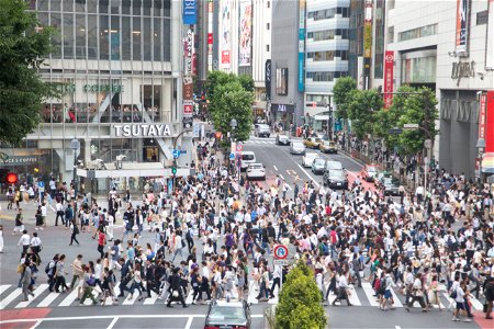 Shibuya Scramble Crossing photo