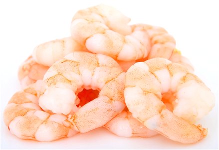 Boiled Shrimp