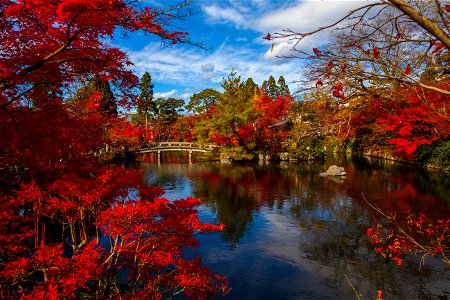 Japanese Garden Autumn