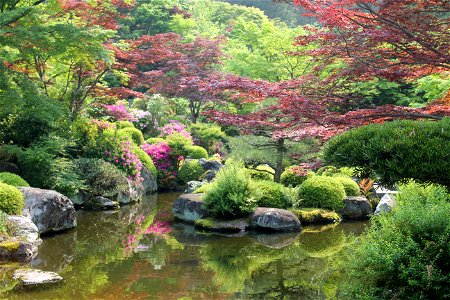 Mimuroto Temple Japanese Garden photo