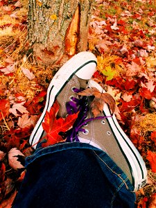 Shoes Autumn Leaves photo