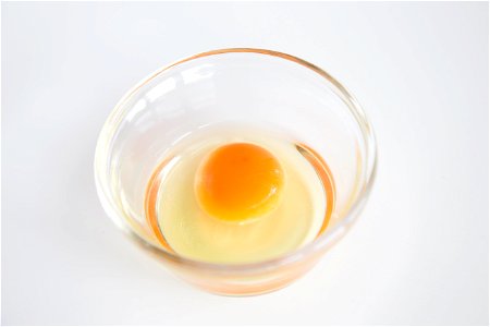 Fresh Egg