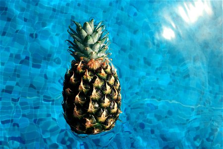Pineapple Pool Summer photo