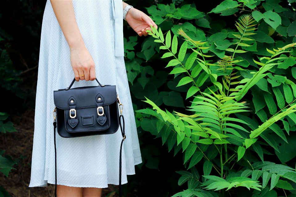 Bag Woman Leaves Plant