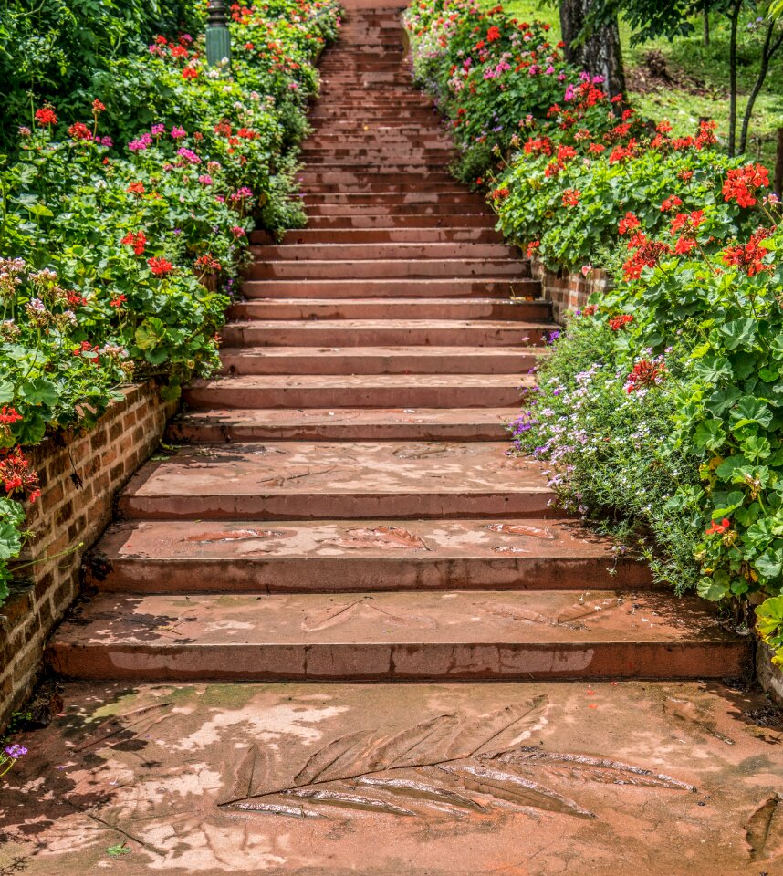 Botanical gardens pathway path