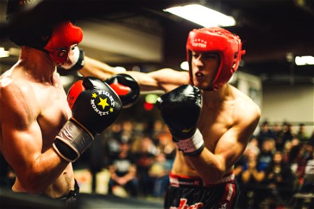 Boxer Boxing Fighting photo