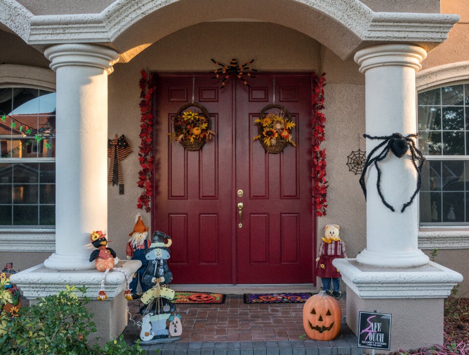 Pumpkin spider october