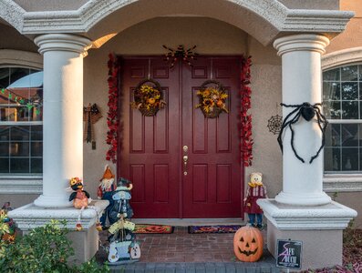 Pumpkin spider october