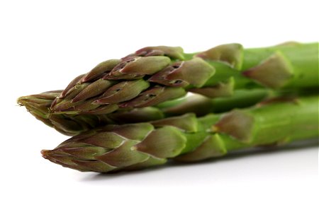 Asparagus Vegetable photo