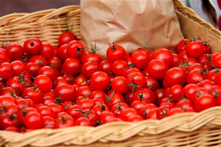 Small Tomato Vegetable