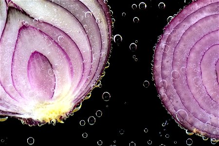 Purple Onion Vegetable photo