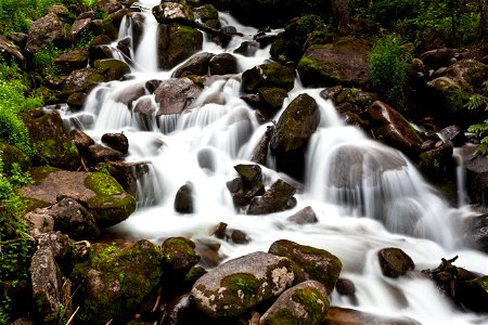 Stream River Landscape