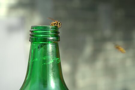 Drink liquid refreshment