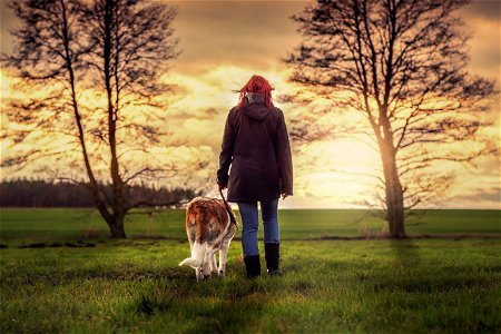 Woman Dog Strolling