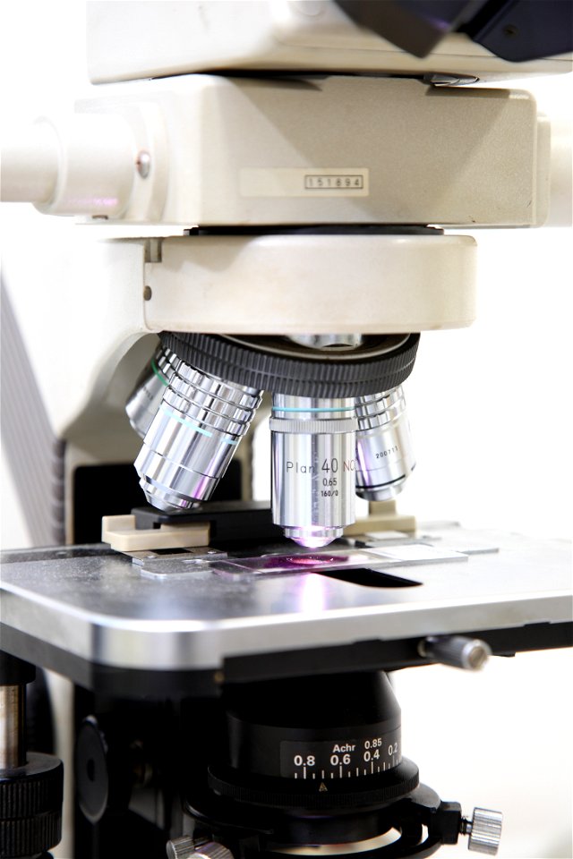Microscope