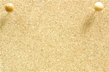 Cork Board