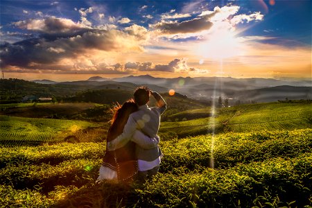 Couple Tea Plantation photo