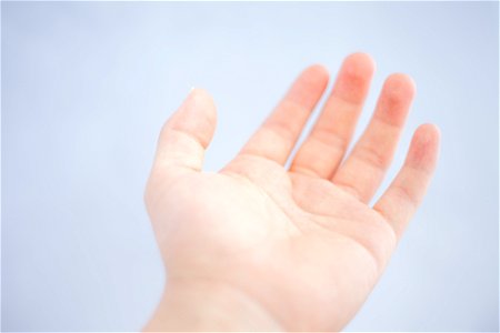 Hand Fingers