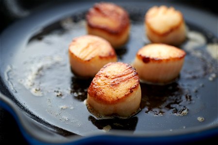 Seared Scallops Cooking photo