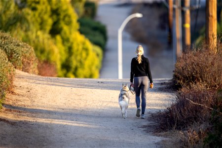 Woman Dog Walk