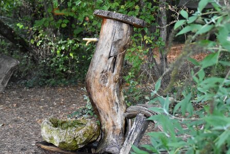 Fountain nature faucet
