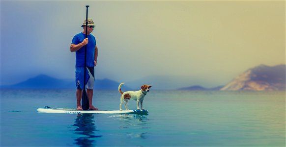 Stand Up Paddleboard Dog photo