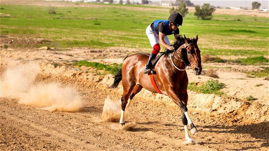 Horse Racing Jockey photo