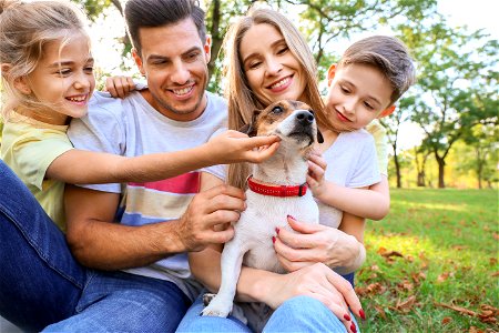 Family Pet Dog