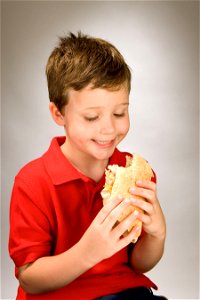 Sandwich Child Boy Eating