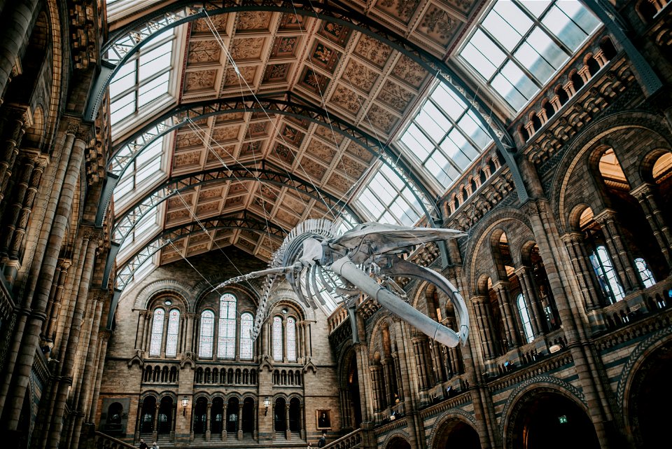 Natural History Museum London