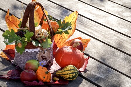 Autumn motives colorful pumpkins