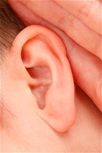 Ear Hear photo