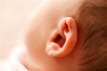 Ear Baby