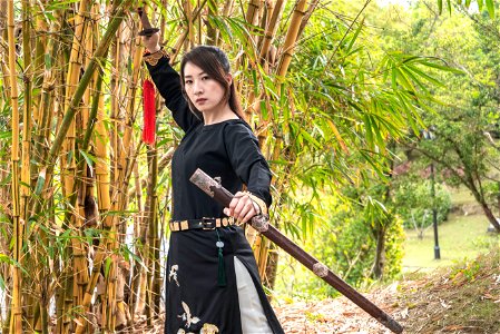 Woman Girl Portrait Sword photo