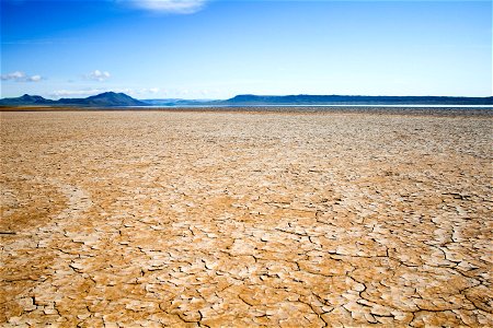 Alvord Desert