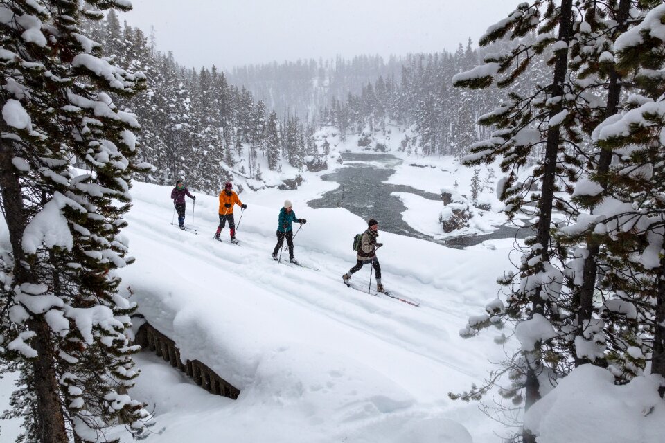 Winter skiers national forest