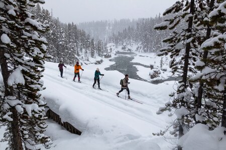 Winter skiers national forest photo