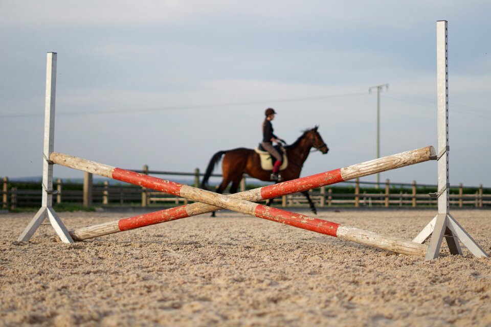 Jump show jumping reiter